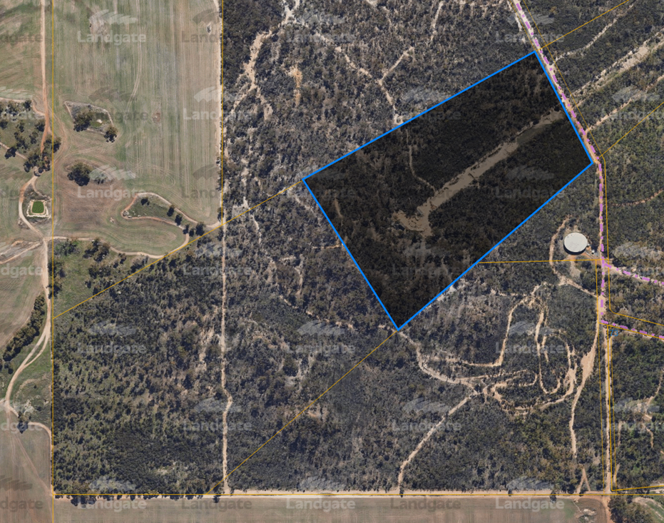 LEASE OF LAND, PORTION OF RESERVE 9441 (RIFLE RANGE), PARAGON STREET,