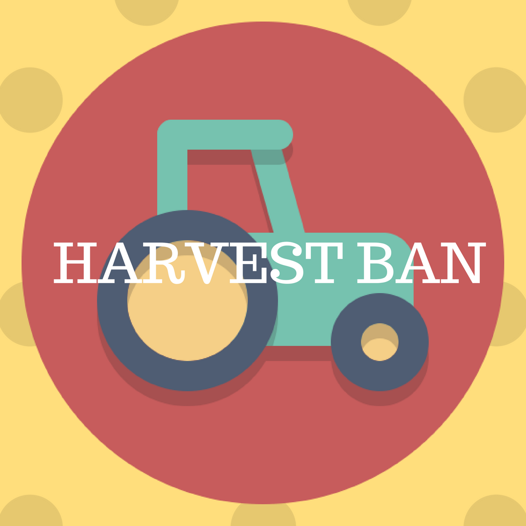 Harvest Bans for Christmas 2023